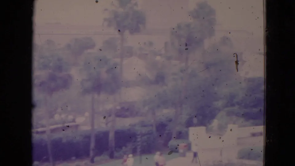 Soft 8mm view of an Orlando residential area with palms, hedges, and distant figures near light-colored buildings.