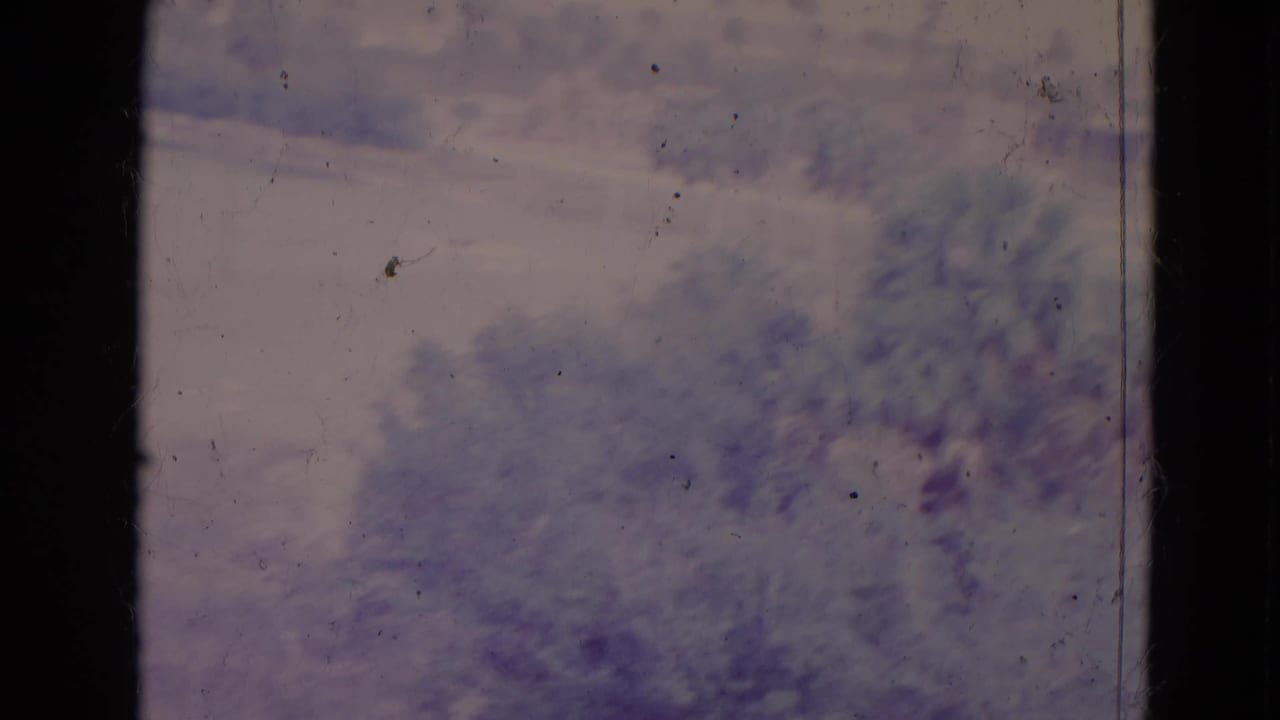 Hazy tree cover seen through a dark vertical aircraft window frame.