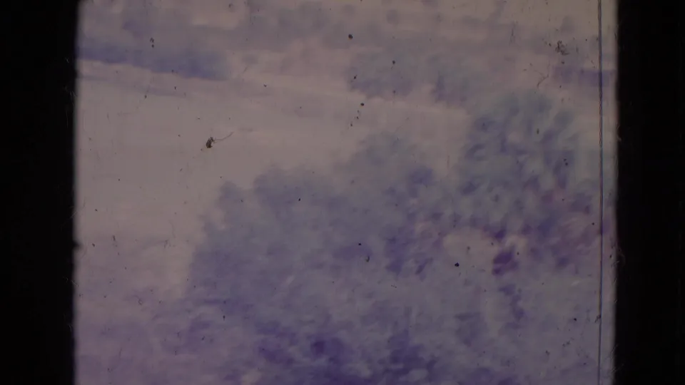 1974 Orlando-area home-movie frame showing blurred tree cover through dark window framing with purple 8mm color cast.