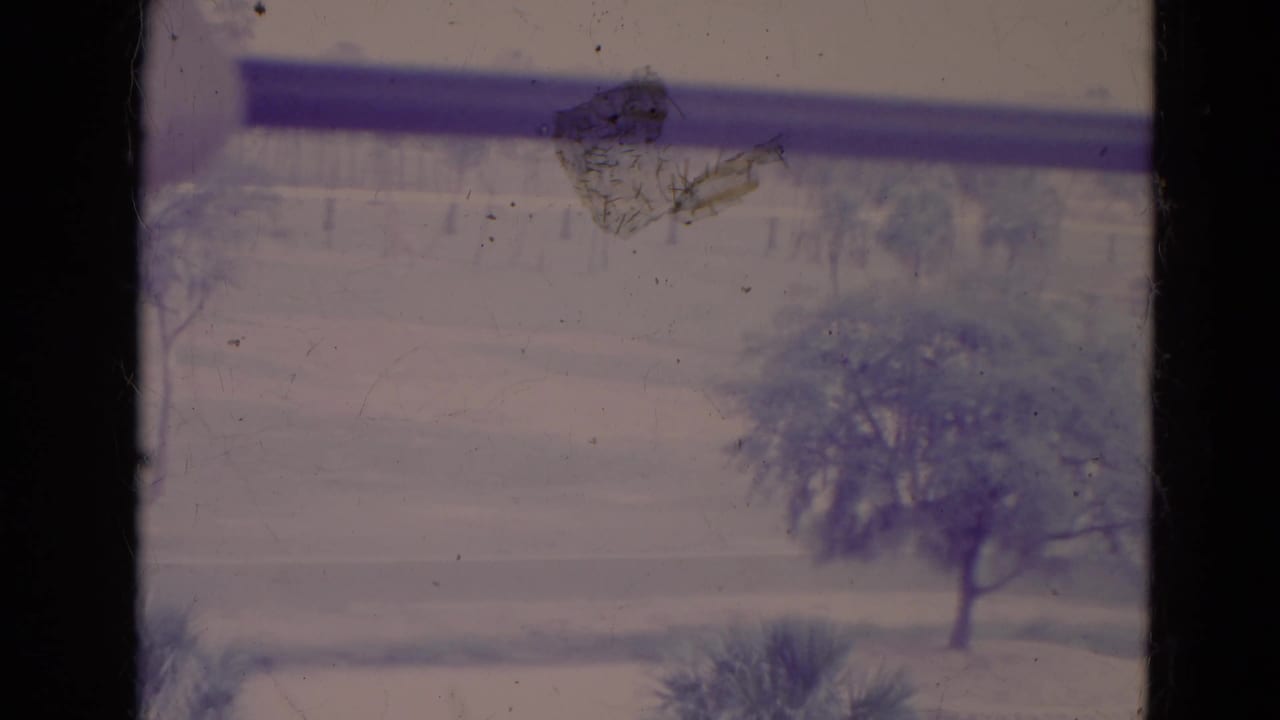 1974 Orlando 8mm frame looking through a window at a soft, faded view of grass, scattered trees, and a nearby road.