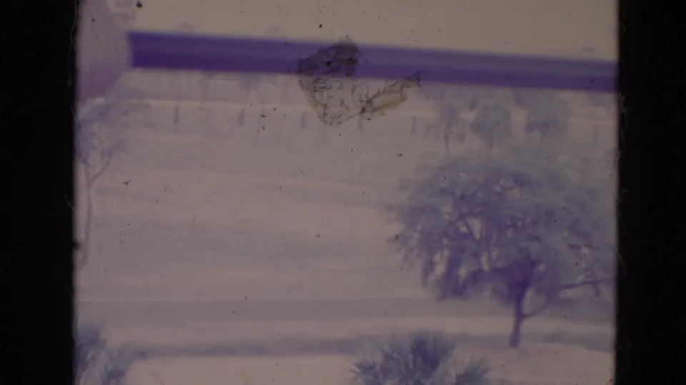 1974 Orlando 8mm frame looking through a window at a soft, faded view of grass, scattered trees, and a nearby road.