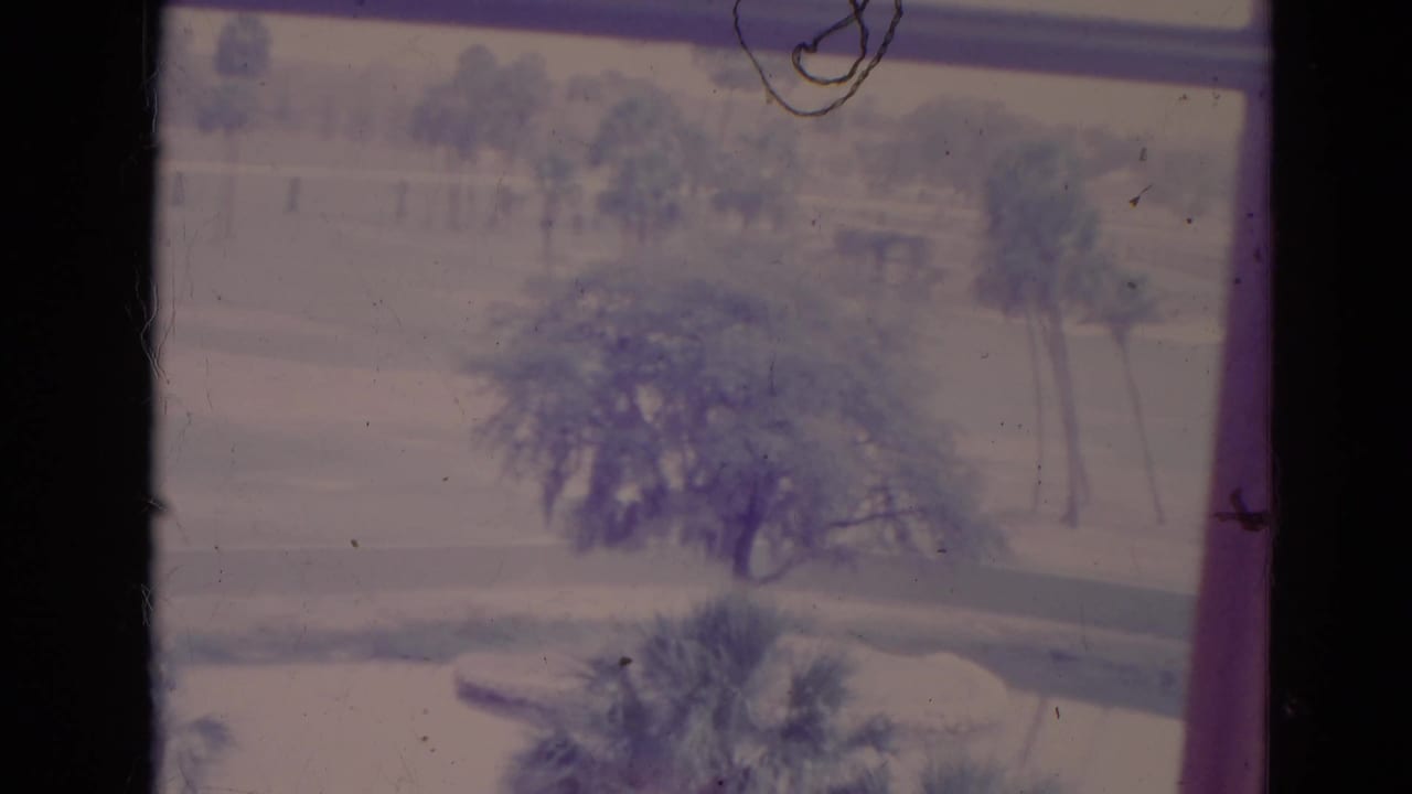 Faded 8mm view from a window in Orlando, showing trees, palms, grass, and a quiet road through aged film texture.