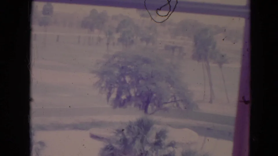 Faded 8mm view from a window in Orlando, showing trees, palms, grass, and a quiet road through aged film texture.
