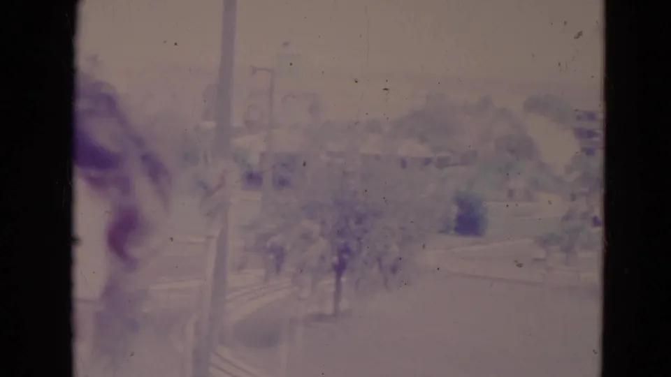 Overexposed 1974 Orlando home-movie frame with a window edge, grassy ground, trees, palms, and faded purple film color.