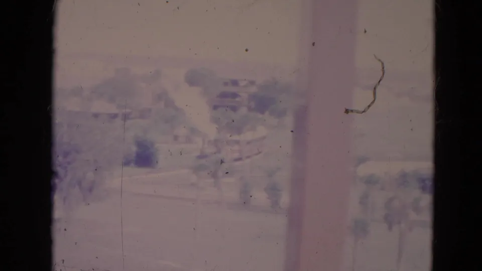 1974 Orlando 8mm still showing a pale exterior view through a window, with palms, grass, trees, and road or walkway lines.