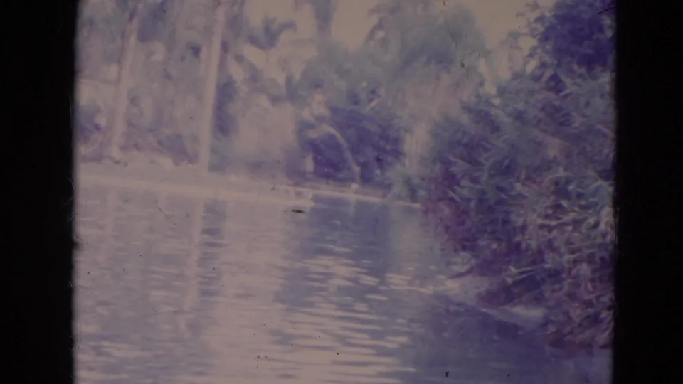 1974 Orlando home-movie frame showing ducks on rippled pond water, backed by dense greenery and tall trees.