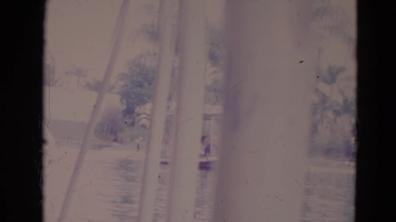 Faded 1974 Orlando 8mm frame with water, palm trees, and a vertical foreground obstruction near the pond.
