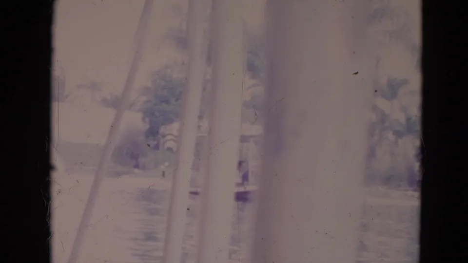 Faded 1974 Orlando 8mm frame with water, palm trees, and a vertical foreground obstruction near the pond.