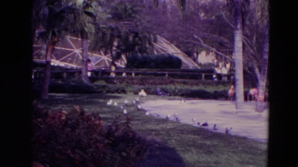 1974 Orlando 8mm frame showing a landscaped shoreline, small birds, a low boat, palms, and a dome-like structure in the background.