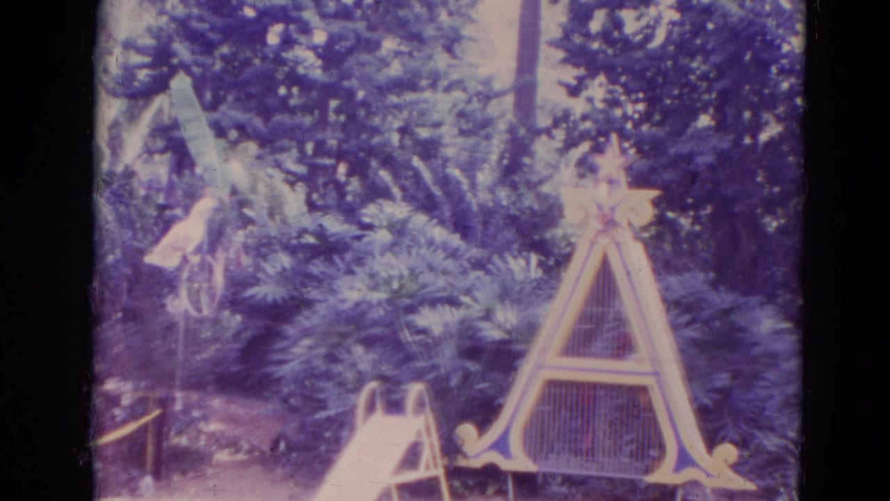 Cockatoo perched on a miniature bicycle beside an A-frame bird structure and plants.