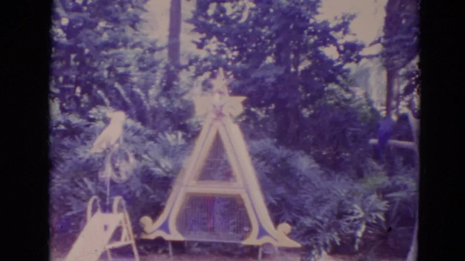 1974 Orlando 8mm frame showing a cockatoo on a miniature bicycle above a small slide beside an A-frame bird structure.