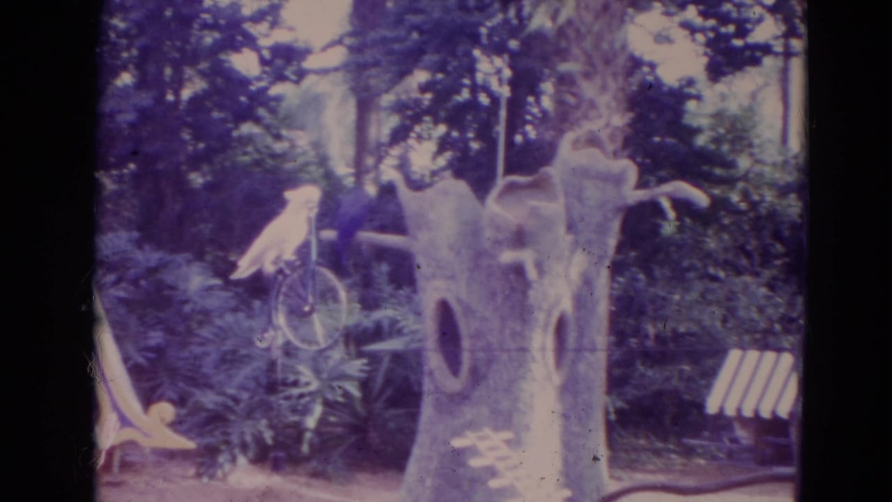 Parrot perched on a small bicycle near a tree-like display and benches in an outdoor attraction.