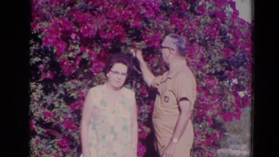 The man reaches near the purple blooms while the woman, wearing glasses and a floral dress, looks toward the camera.