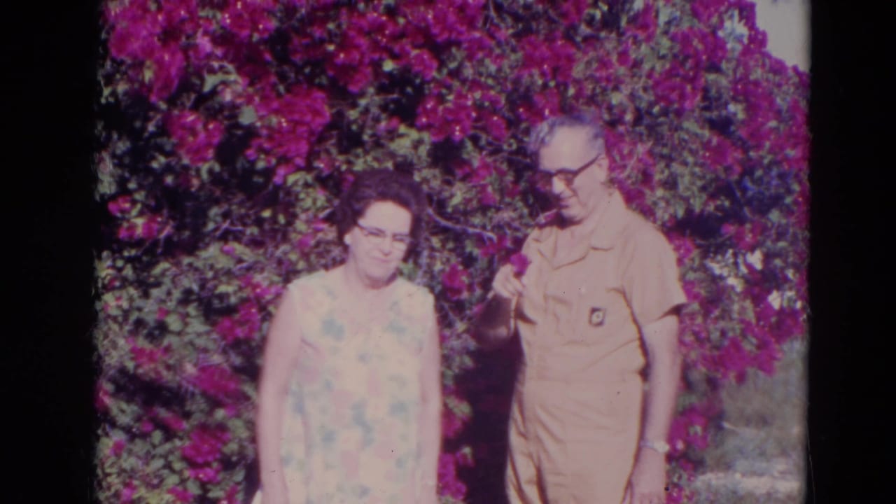 Older woman and older man standing before bright flowering shrubs.