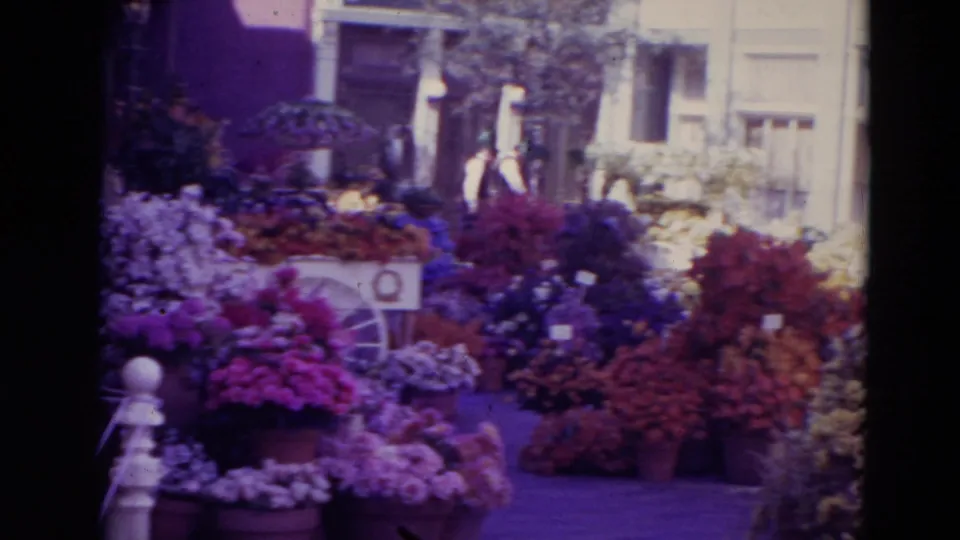 1974 Orlando visitor-shot frame showing dense potted flowers, a walkway, white building details, and distant people in a park setting.