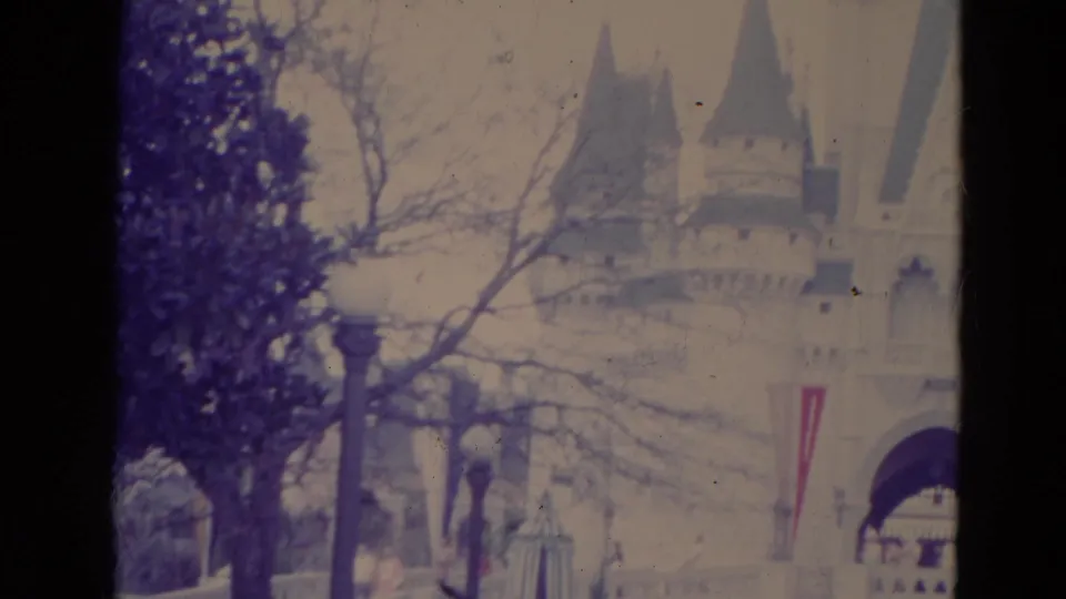 1974 Orlando home-movie frame showing Cinderella Castle partially obscured by bare branches, a globe lamppost, and soft 8mm exposure.