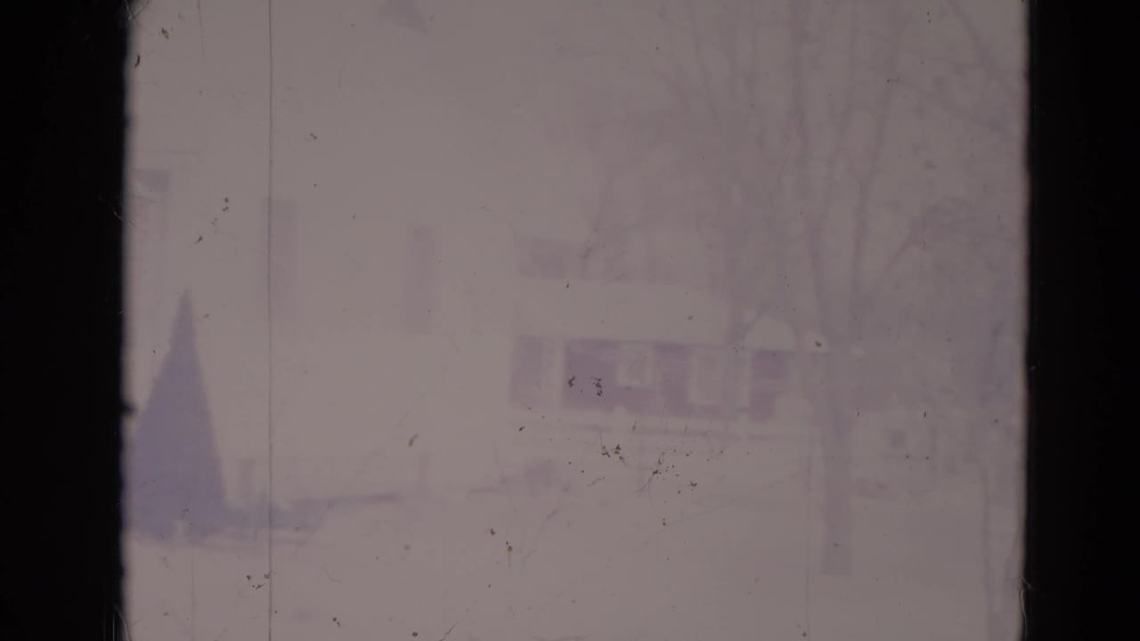 Faded view of a house facade with bare tree trunks, shrubs, and a small evergreen in the yard.