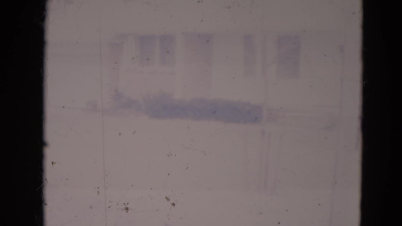 Overexposed view through a window toward a snowy house and yard.