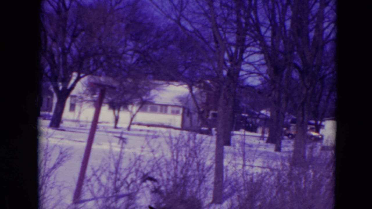 Snowy residential street with bare trees, a leaning post, shrubs, and low houses in the background.
