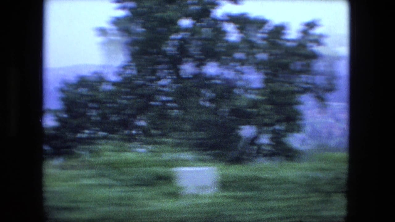 Blurred roadside trees and greenery seen through a moving vehicle window.
