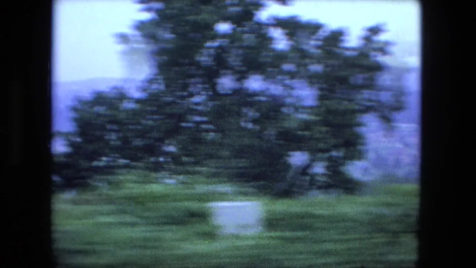 1974 8mm Fort Wayne-area travel footage showing blurred trees and roadside vegetation from a fast-moving car.