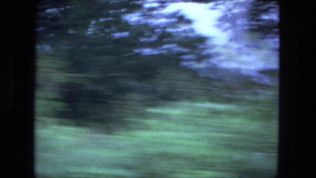 Fort Wayne-area 1974 home-movie frame with trees and green roadside passing in blue-green motion blur.
