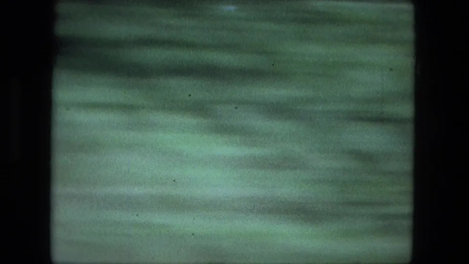 1974 Indiana road-travel frame dominated by blurred green field and roadside grass from a moving vehicle.