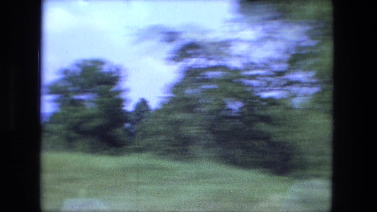 Blurred trees and grassy roadside seen from a moving vehicle.