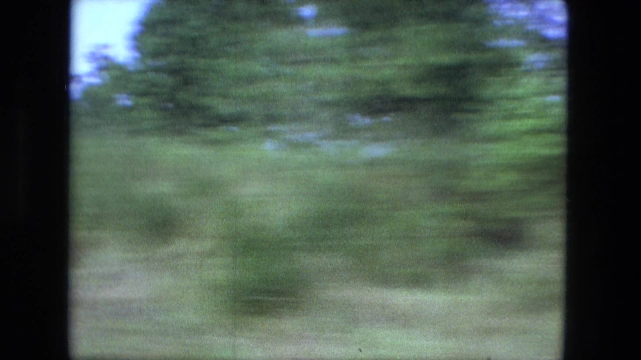 Soft 8mm view of green trees and roadside brush passing quickly near Fort Wayne, Indiana in 1974.