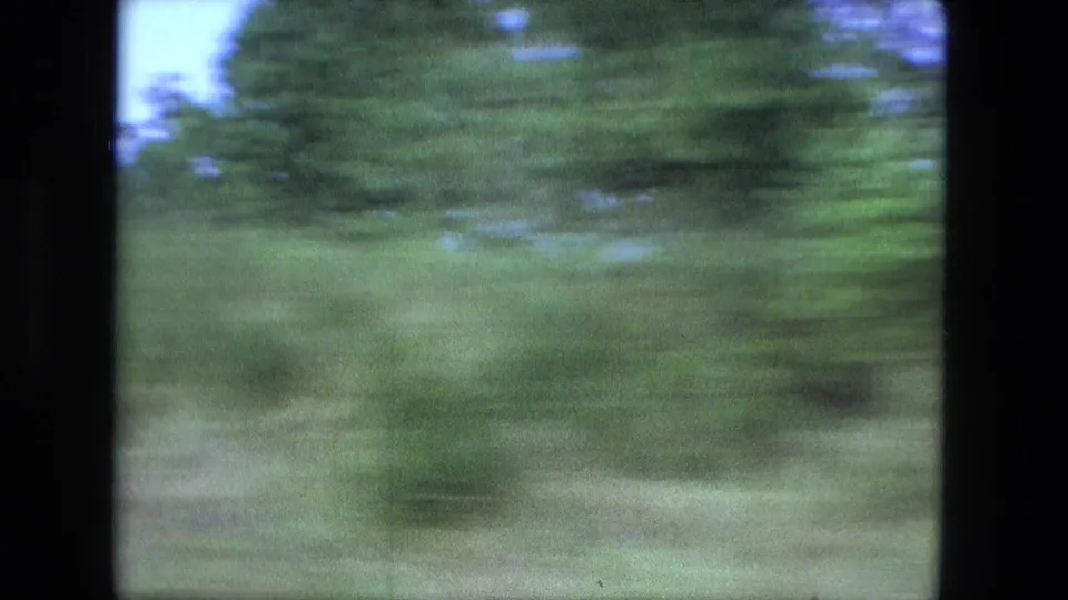 Soft 8mm view of green trees and roadside brush passing quickly near Fort Wayne, Indiana in 1974.