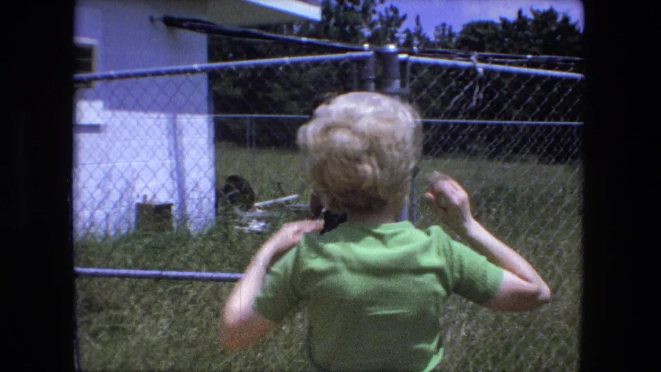 The woman in green is seen from behind at the fence, with a small white structure, grass, and yard objects visible in Fort Wayne in 1974.