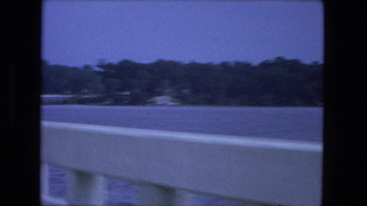 Water and a dark tree-lined shore seen past a pale roadside or bridge barrier.