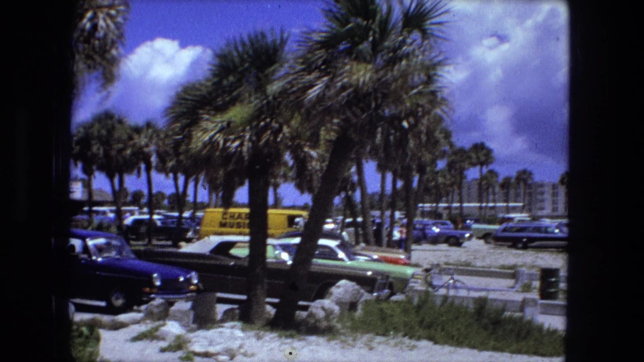 Palm trees, older cars, and a sandy beachfront parking area under a bright sky.