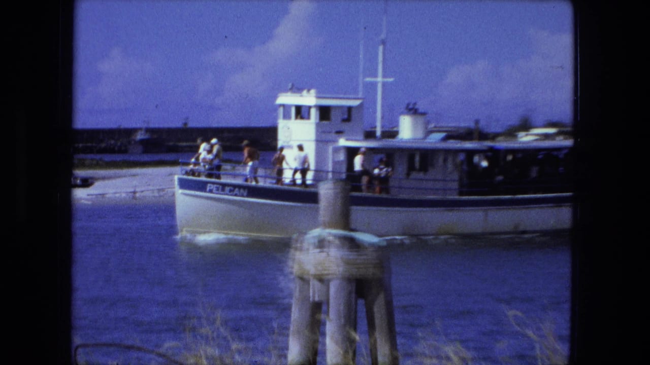 The PELICAN passenger boat passes along the waterfront with several visible riders and weathered pilings in the foreground.