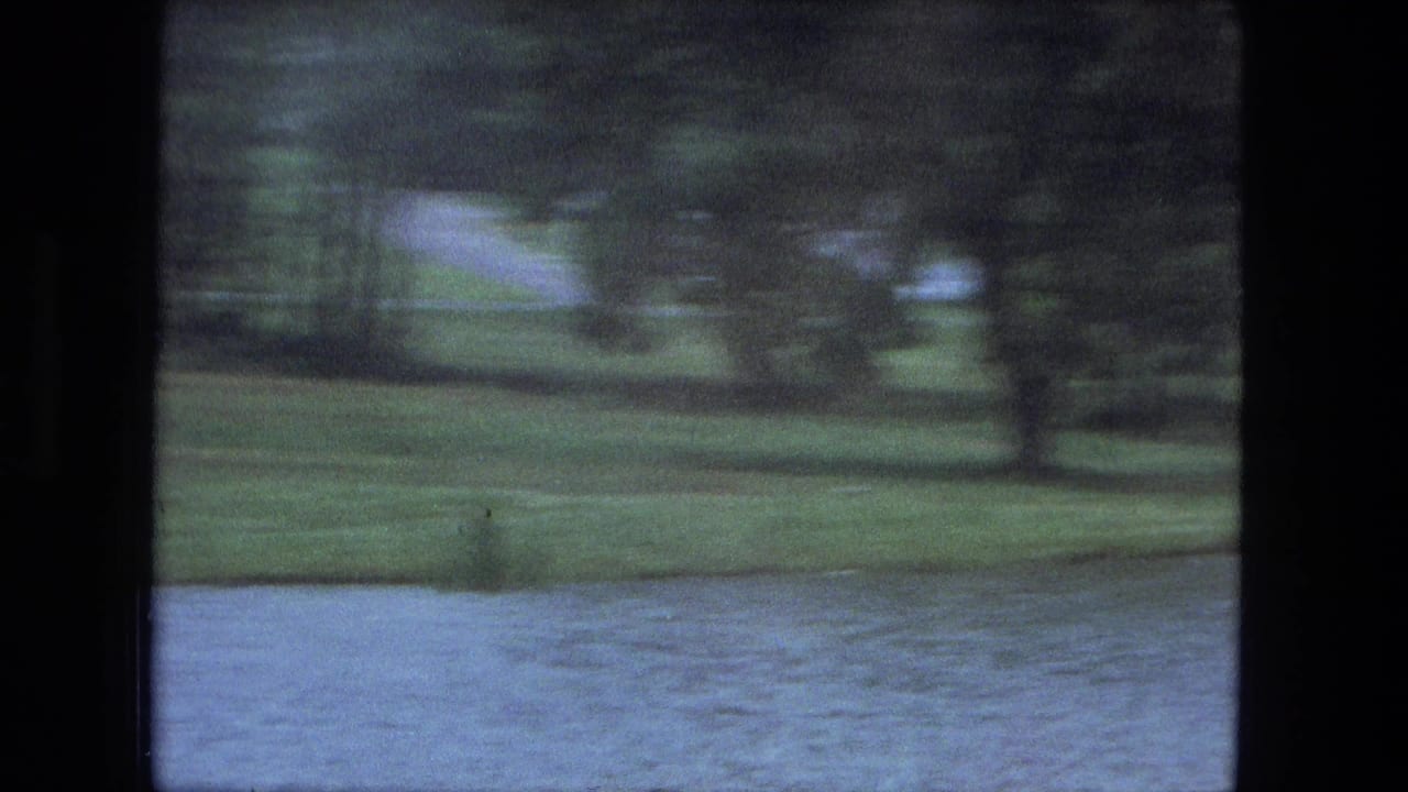 Wet road and water seen through a moving vehicle, with trees and grass beyond.