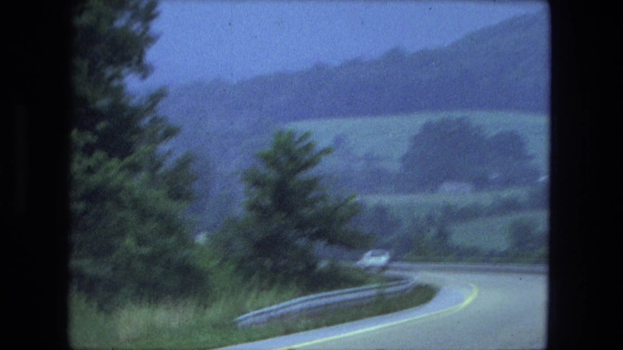 Road curve bordered by trees and a guardrail with a car ahead in the distance.