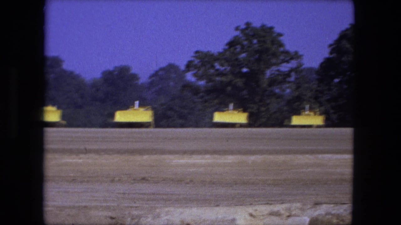 Yellow construction equipment parked across a flat dirt site with trees behind it.