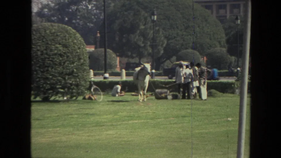 1974 India 8mm frame with a group of people beside a white horse, a large rounded shrub, lawn and formal park plantings.