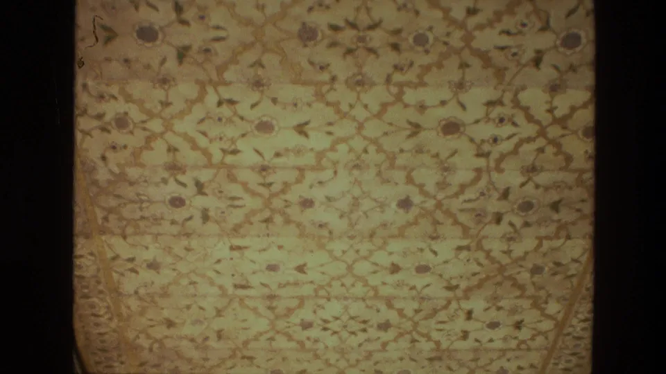 1974 India palace interior detail showing an ornate patterned ceiling with floral and vine-like decorative motifs.