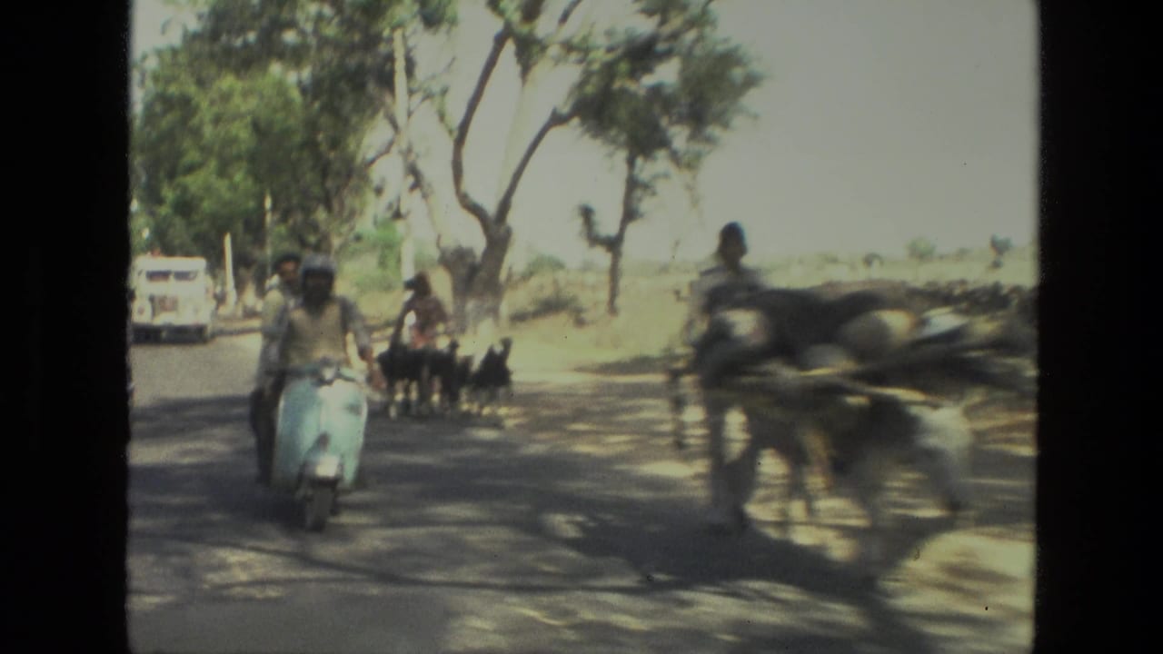 1974 India home-movie frame showing a light blue scooter on a tree-lined road with goats and traffic nearby.