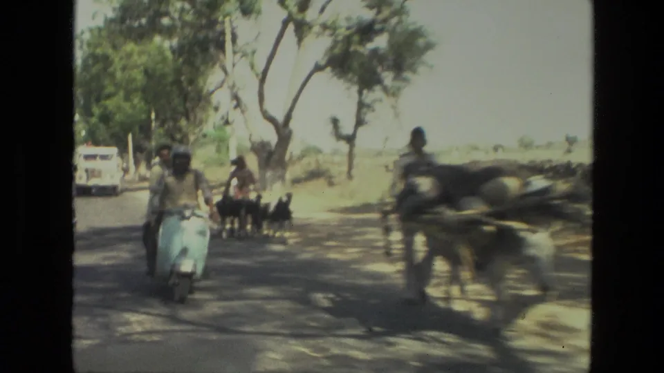 1974 India home-movie frame showing a light blue scooter on a tree-lined road with goats and traffic nearby.