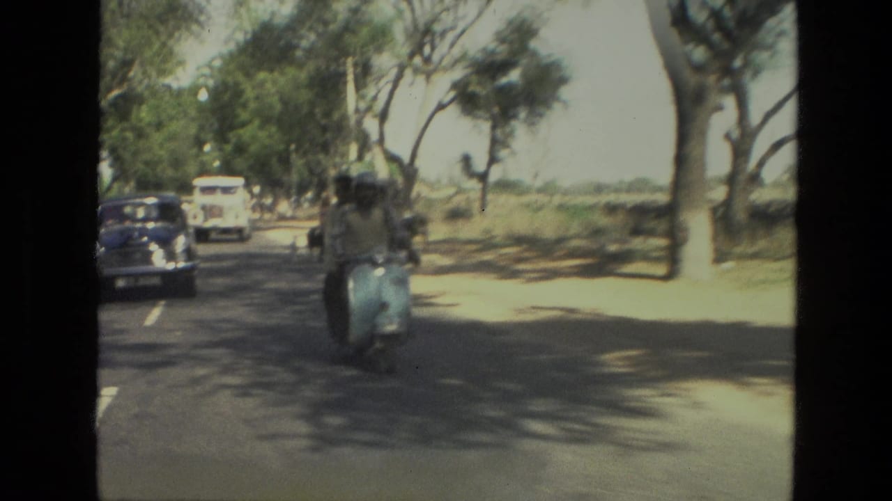 Scooter travels away from the camera with older cars and a white bus on a broad tree-lined road.