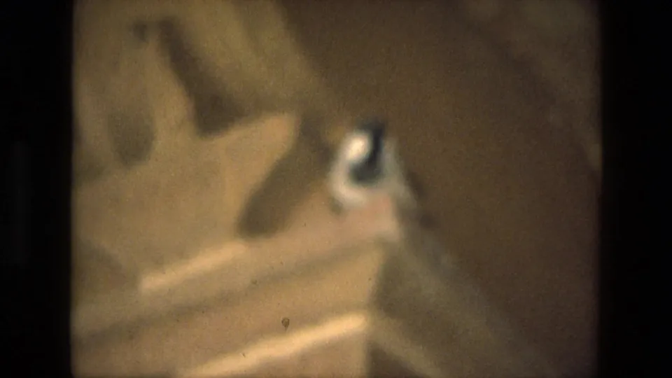 A soft, out-of-focus 8mm frame with warm brown tones, possibly from camera movement before the mosque view.