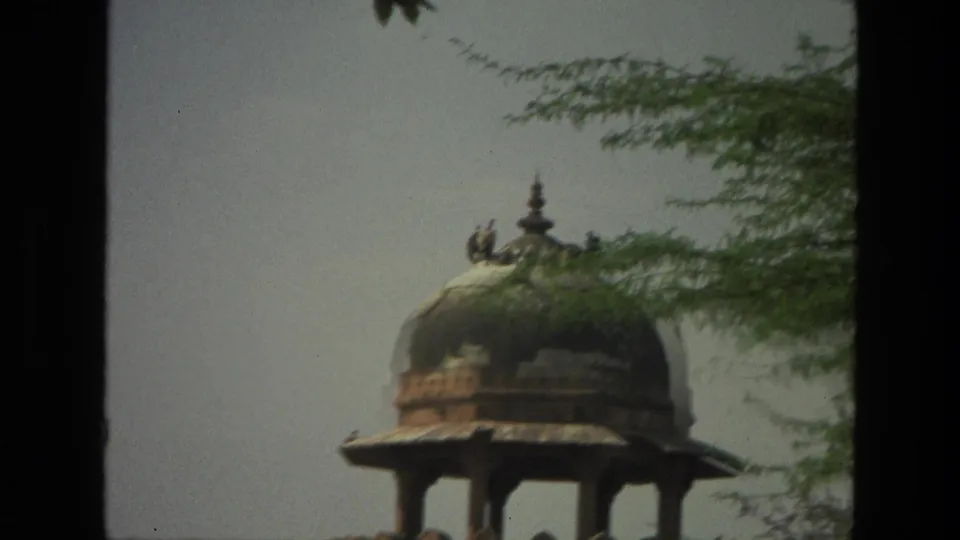Birds perch on a domed outdoor pavilion roof with green foliage at the edge of the 1974 India frame.