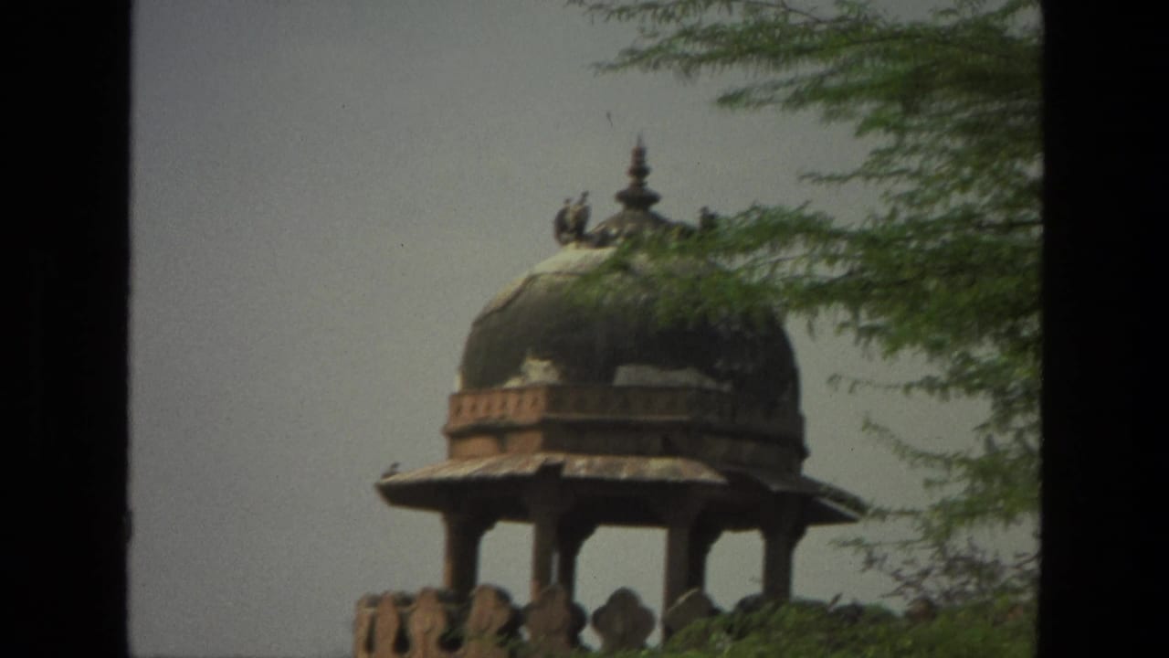 Domed pavilion with birds on top, partly framed by green tree branches and dark film borders.