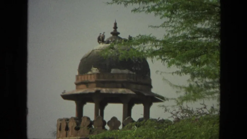 1974 India 8mm frame of a traditional domed pavilion partly obscured by tree branches, with birds visible on the roof.
