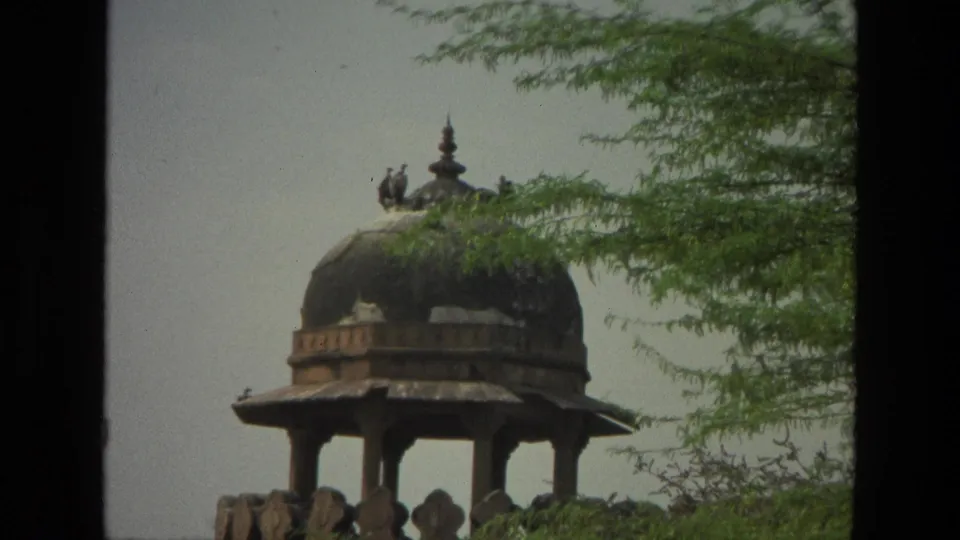 1974 India home-movie frame showing a closer handheld view of a domed pavilion, perched birds, and surrounding foliage.
