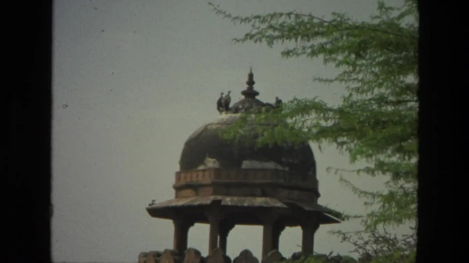 1974 India 8mm frame showing the pavilion from a slightly shifted angle, with birds on the dome and branches overhead.