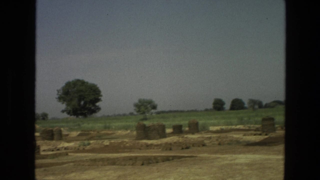 1974 India 8mm frame showing open rural fields, scattered trees, and low stacks or structures viewed from a passing vehicle.