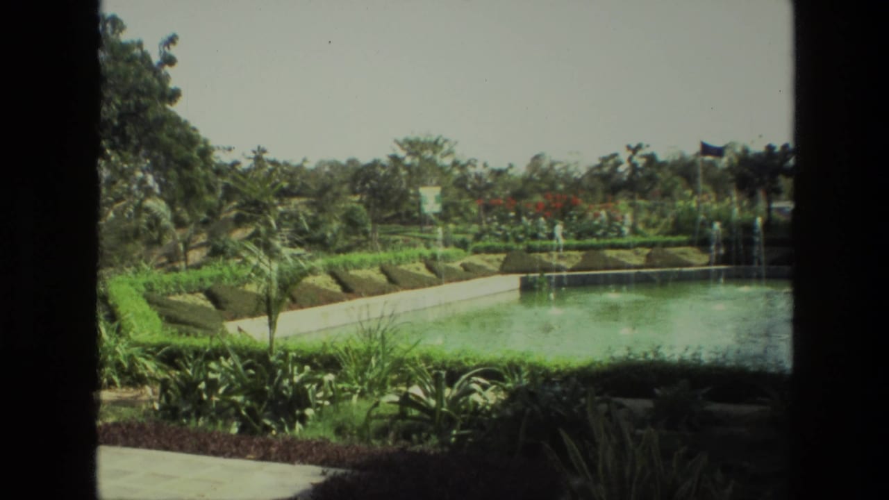 Formal garden with a long rectangular swimming pool, hedges, palms, and flowering plants.
